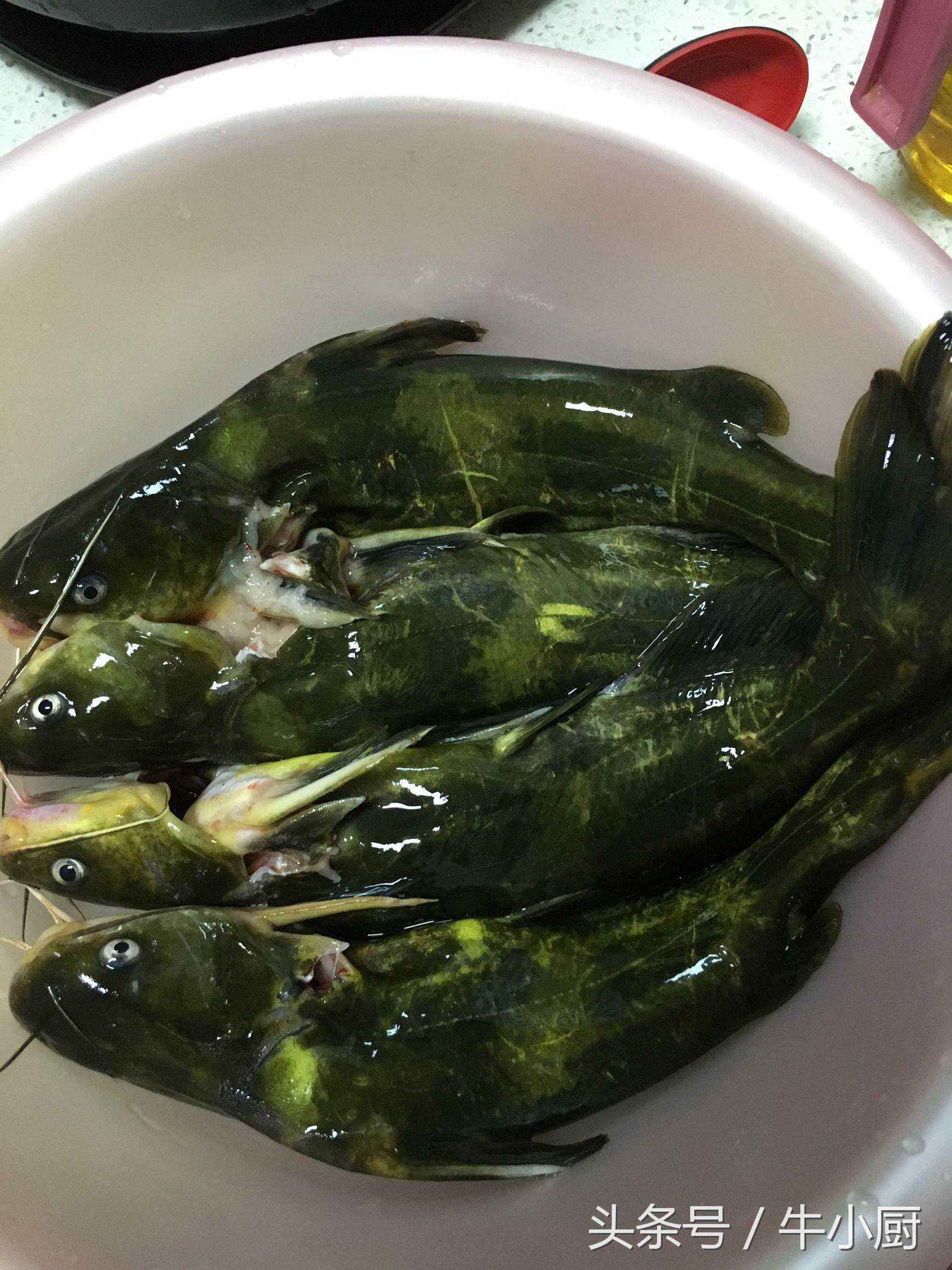 干货分享：嘎鱼的做法