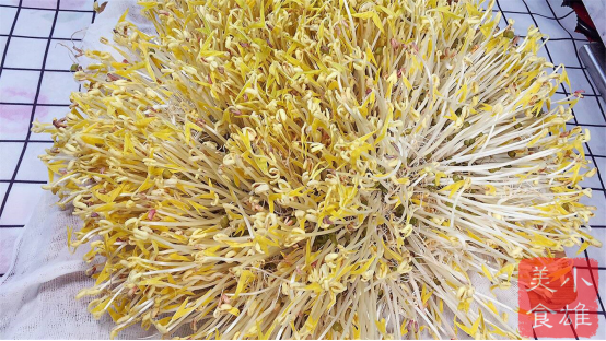 吃了半辈子豆芽，才知道发豆芽这么简单，5天就能吃，值得收藏