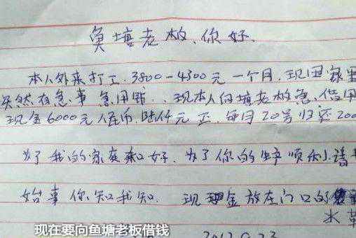 中山男子养鱼一夜全翻了白肚，疑与奇怪信件有关，是恐吓还是真的投毒？