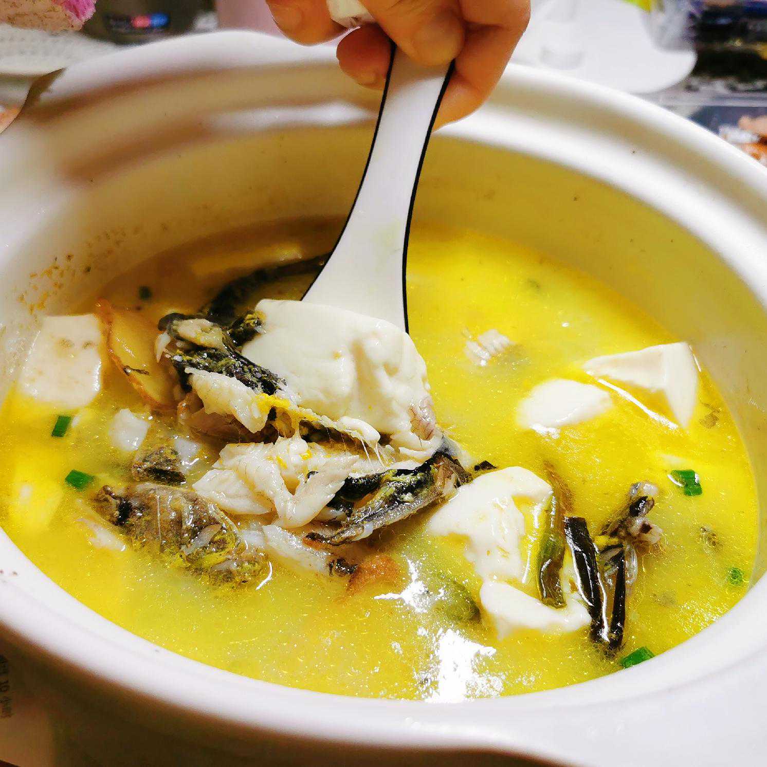#美食#昂刺鱼豆腐汤，富含氨基酸，肉质细嫩