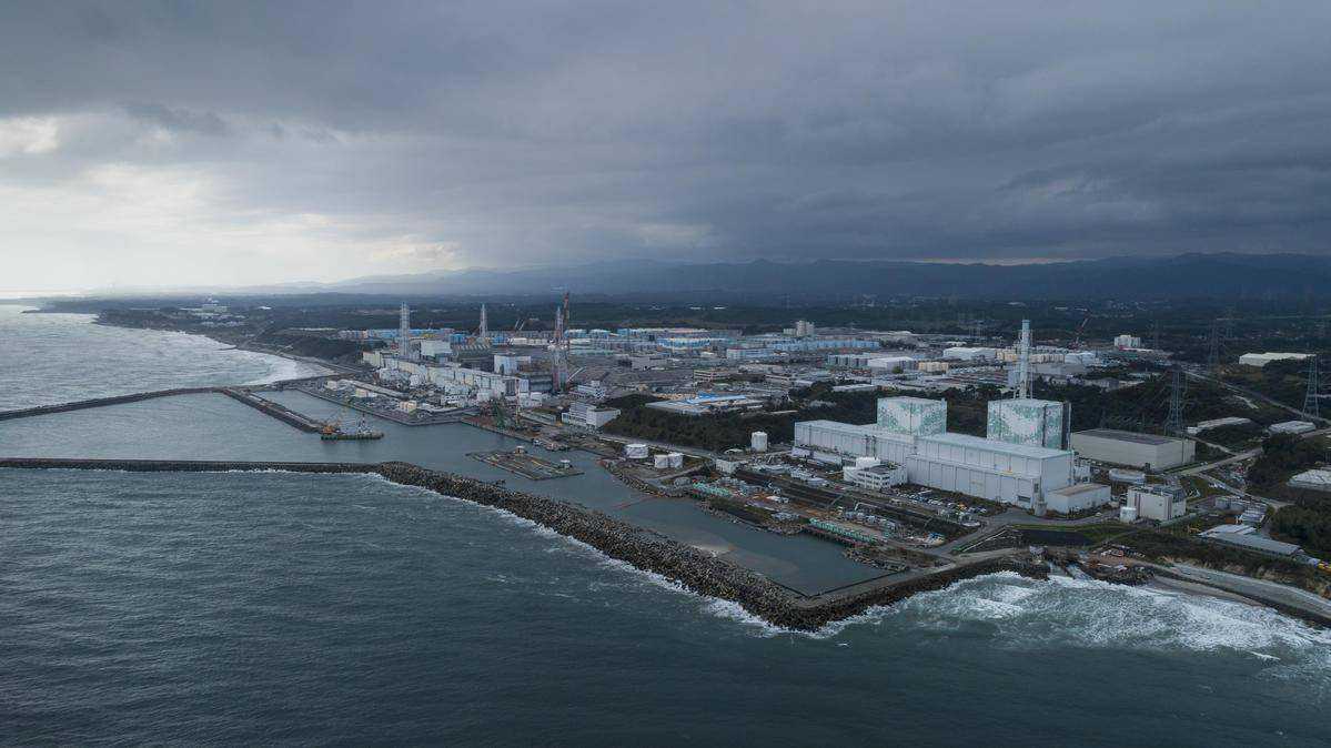 日本海滩出现200米乌贼，是核污染导致的？还是地震的预兆？