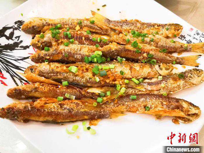 “软鳞”和“蚬鱼”：广东侨乡台山长着兄弟般容颜的“小银鱼”