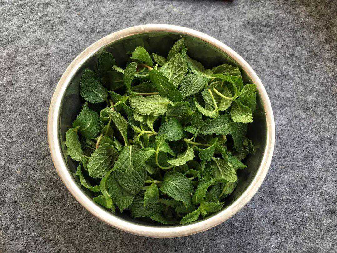 教你爽口美味的凉拌薄荷肉片，简单做一下，营养好吃又解馋过瘾