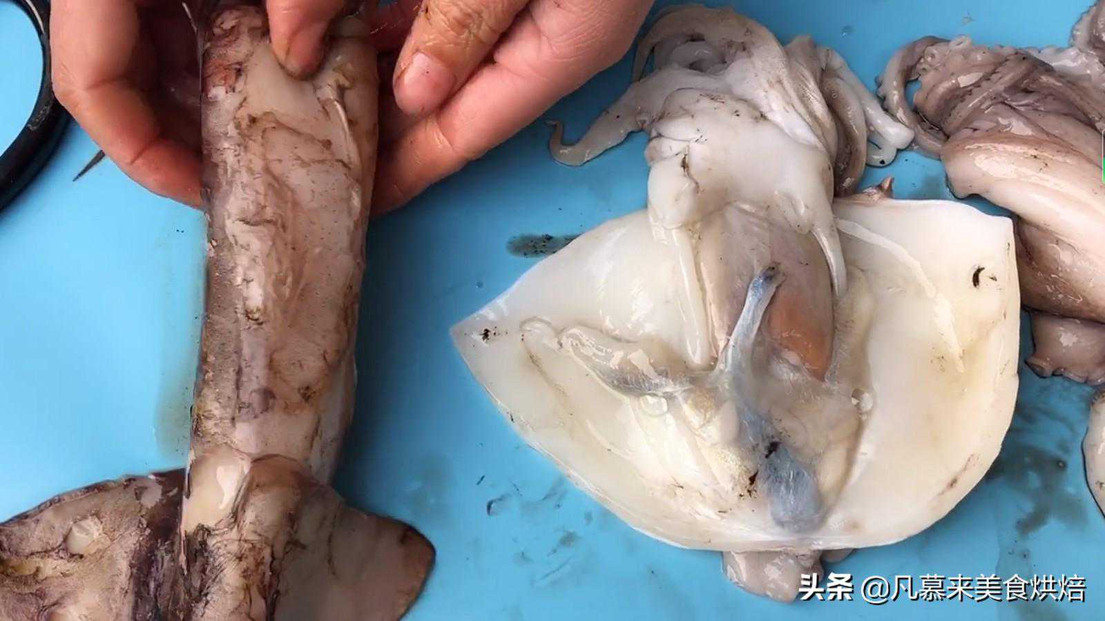 一文读懂鱿鱼、墨鱼、八爪鱼、海兔的区别，4种海鲜的不同吃法
