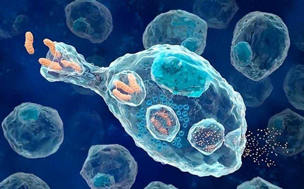 黄金玉米：1吨玉米竟可提炼10克黄金！揭秘生物富集的惊人效果！