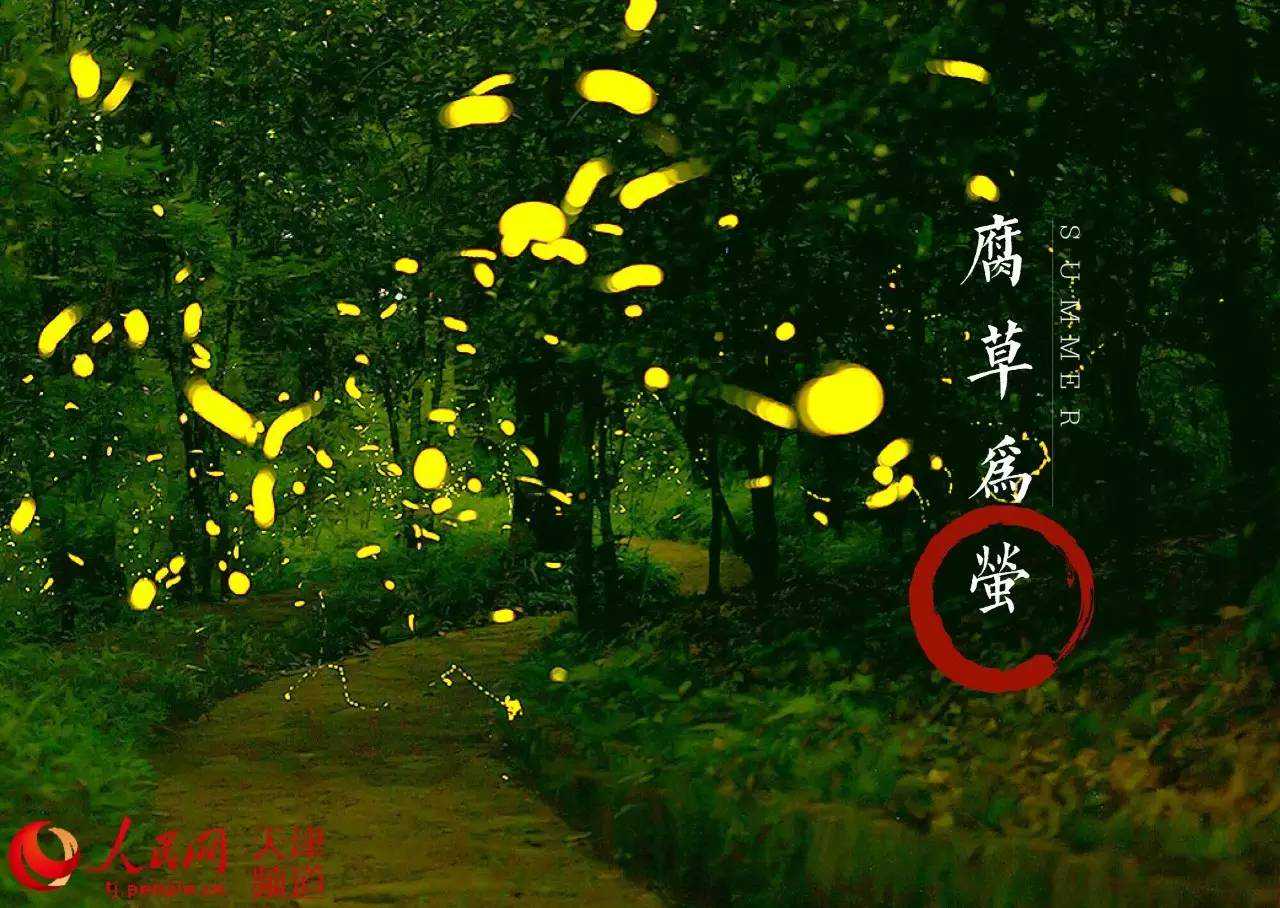 节气 · 大暑 | 这些去暑美食与桑拿天更配哦~