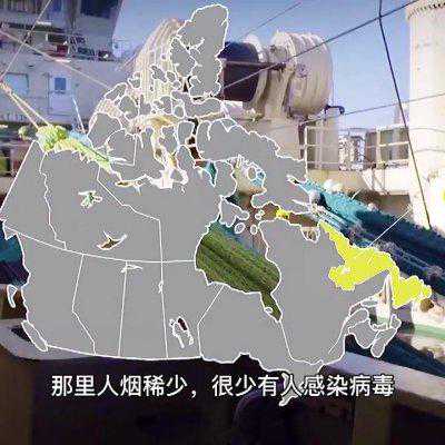 老妈做的豪华版加拿大北极虾冬阴功，怎么吃都不腻
