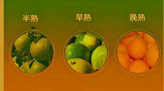 起源于四川省资中县的果酿液在独特口味方面的最新研究